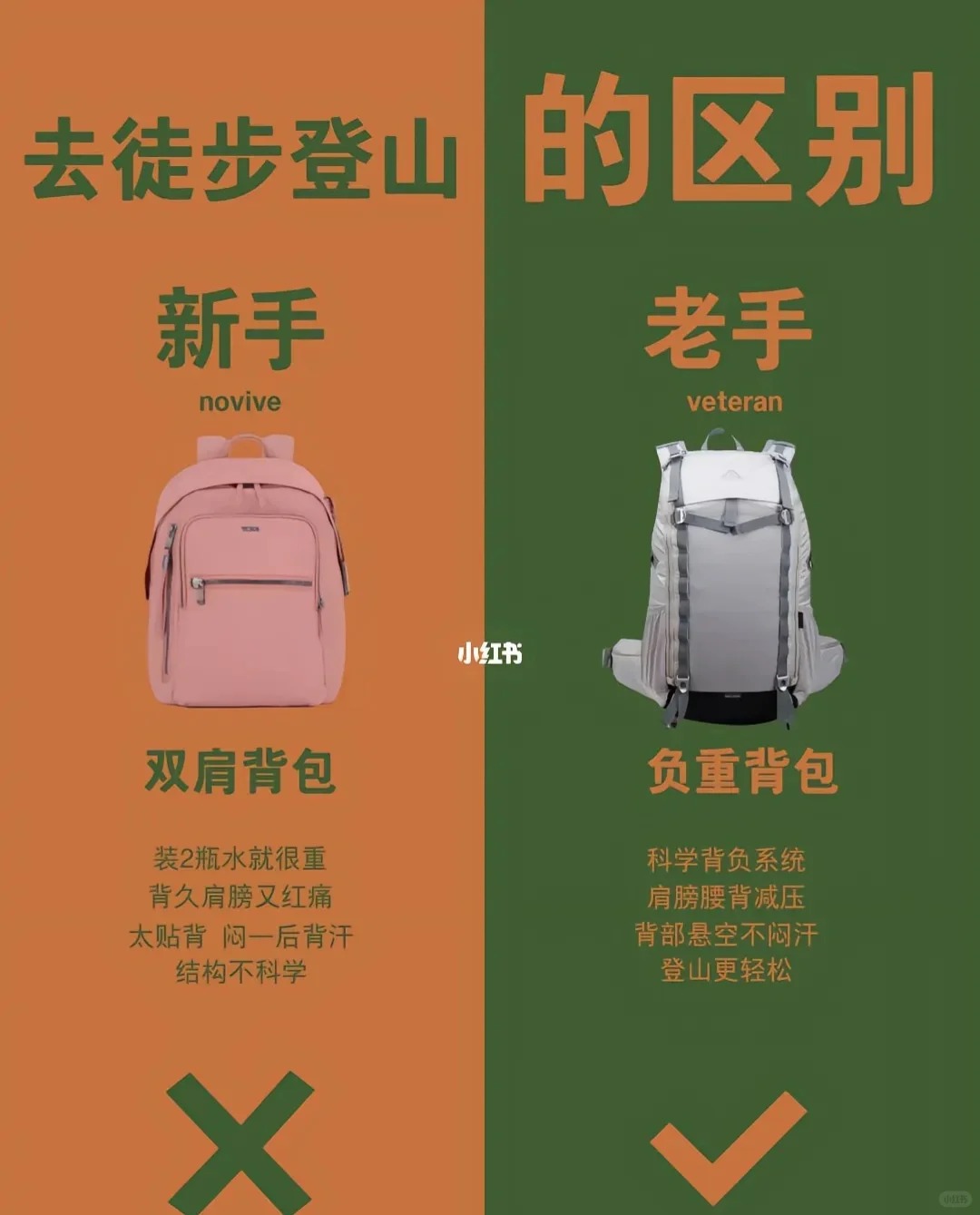 _2_阿呆一_来自小红书网页版