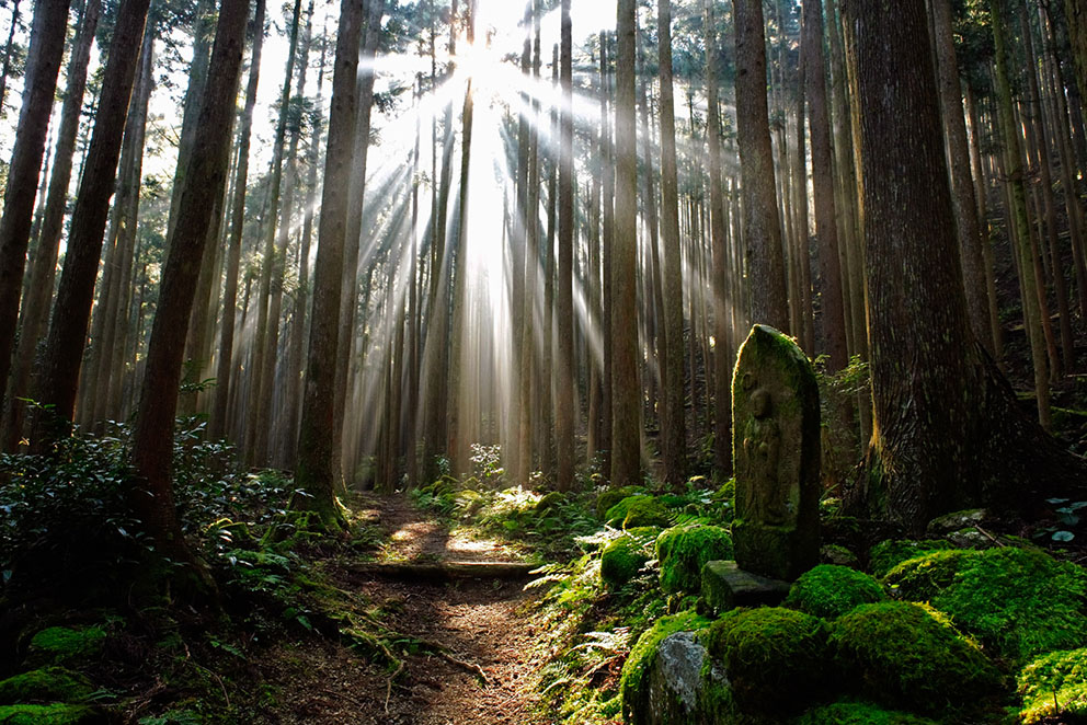 Kumano-Ancient-Road-Ogumotori-goe-2