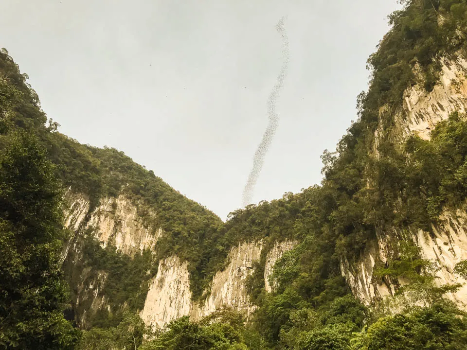 已修圖-蝙蝠出洞壓縮